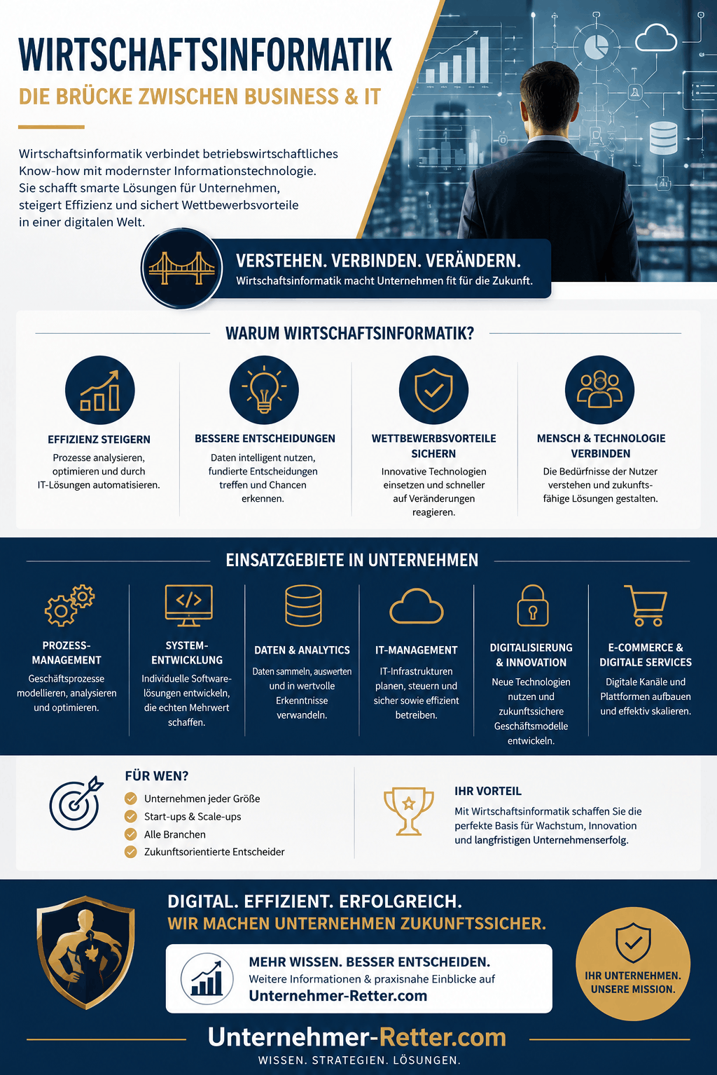 Wirtschaftsinformatik Infografik Wirtschaftsinformatik Infografik